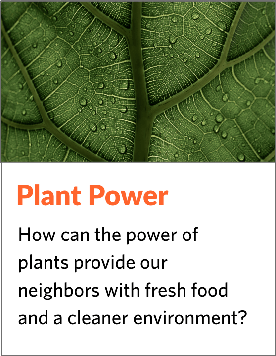 Plant Power - How can the power of plants provide our neighbors with fresh food and a cleaner environment?