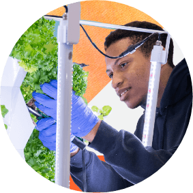 Student in black hoodie and blue gloves tending to green plants under LED lights indoors.